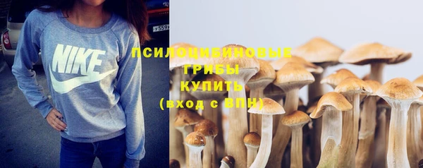 мяу мяу мука Белокуриха