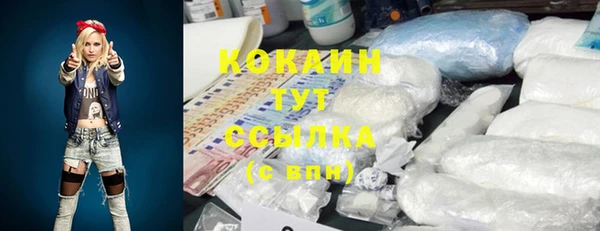 мяу мяу мука Белокуриха