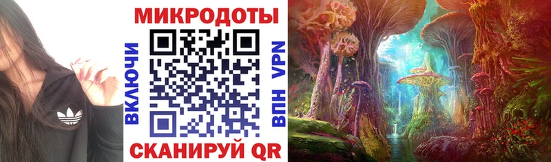 Галлюциногенные грибы Cubensis  Малая Вишера 